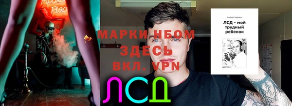 ешки Саяногорск