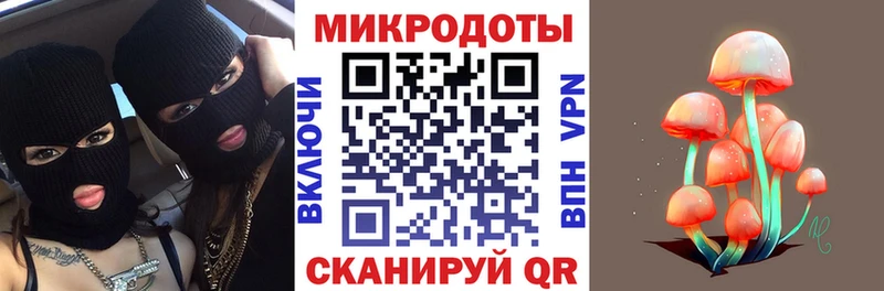как найти   Сунжа  Галлюциногенные грибы Magic Shrooms 